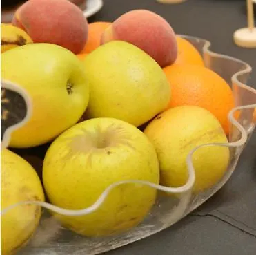 Artheus Carmelitas מלון